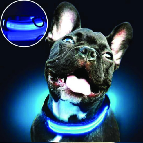 PARENCE - Collier Lumineux pour Chien , 3 Modes d'Eclairage avec Boucle d'attache et Fermeture à Clipser