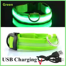 PARENCE - Collier Lumineux pour Chien , 3 Modes d'Eclairage avec Boucle d'attache et Fermeture à Clipser