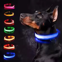 PARENCE - Collier Lumineux pour Chien , 3 Modes d'Eclairage avec Boucle d'attache et Fermeture à Clipser